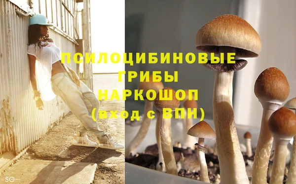 ПСИЛОЦИБИНОВЫЕ ГРИБЫ Алзамай