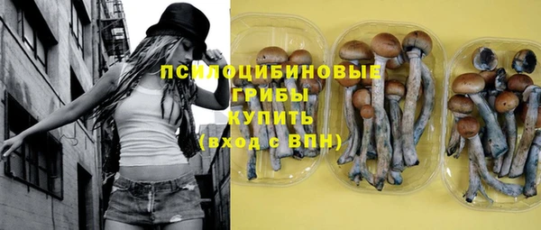 крисы Алексеевка