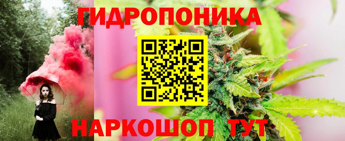 Бердск  Конопля конопля  Вход с VPN  Конопля семена  Канабис MAZAR 